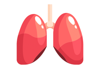 Eosinophils Take the Wheel in Steering Steroid Therapy for COPD ...