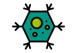 Why is Thor’s Hammer, Molnupiravir, Considered a 4th Line Option for COVID-19?￼